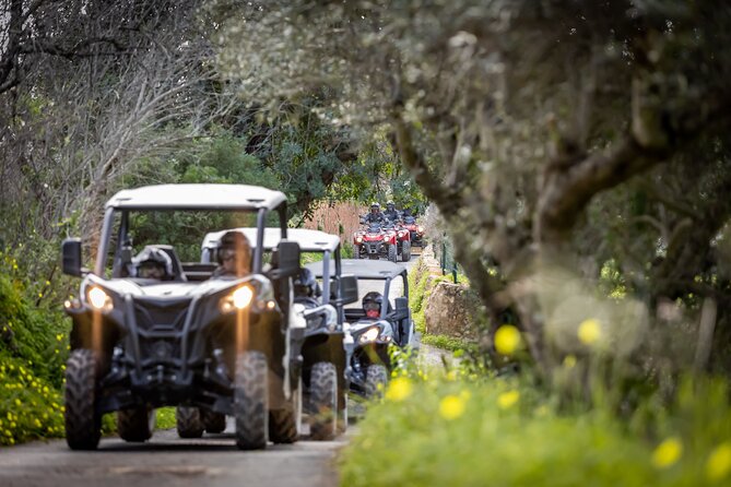 3-hour tour by Buggy or Quad in the Algarve - The Landscape and Nature: Purest Form of Algarves Landscape