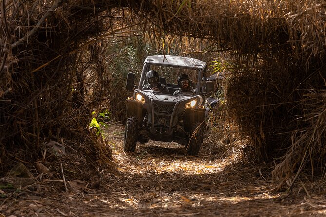 3-hour tour by Buggy or Quad in the Algarve - Expert Guides and Friendly Staff Enhance the Experience