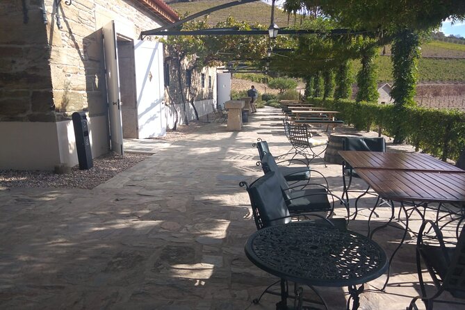 3-Hour Tour to Discover Pinhão - Moment of Discovery - Pacing, Group Size, and Overall Experience