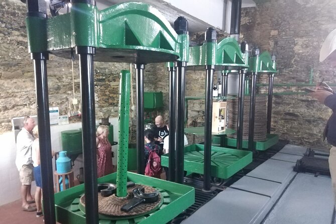 3-Hour Tour to Discover Pinhão - Moment of Discovery - Weather Considerations and Cancellation Policy