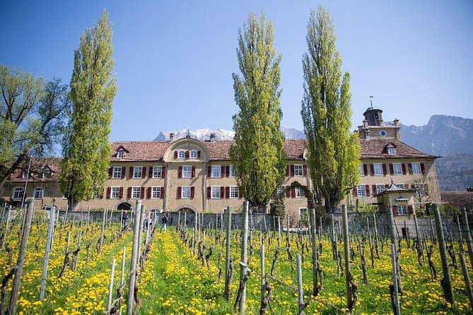 3 Hour Unique Wine Tour - Half Day in Swiss Alps - Visiting Vineyards and Cellars