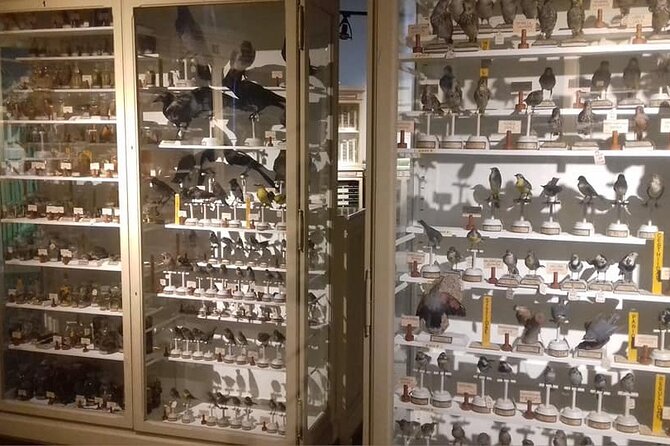 3-Hour Walking Tour with Guide Discovering Verona - Visiting the Beautiful Church of San Lorenzo