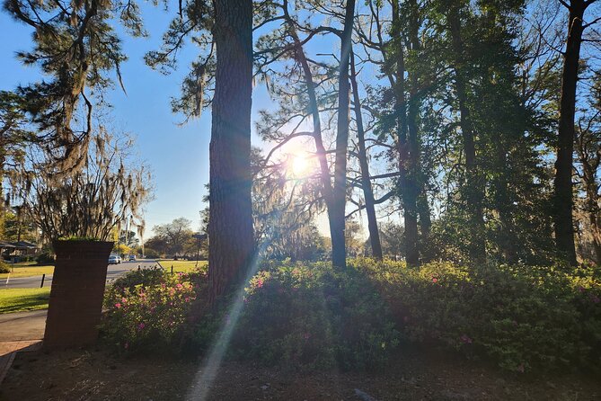 3-Hour Wilmington E-Bike Airlie Gardens Self-Guided Tour - What’s Not Included in the Price