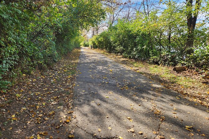 3-Hour Wilmington E-Bike Airlie Gardens Self-Guided Tour - Physical Fitness and Equipment Limits