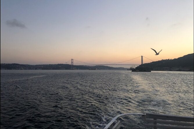 3 Hours Bosphorus Boat Cruise with Stop in Asia Side - The European and Asian Waterfronts