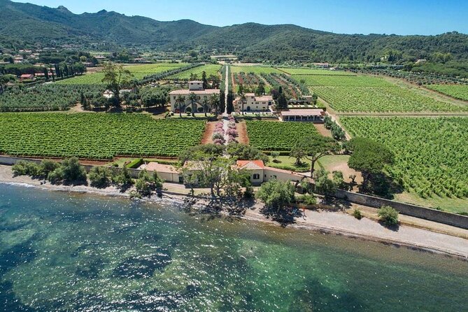 3 Hours e-bike Tour with Wine Tour at Tenuta la Chiusa - Exciting E-bike Adventure with a Historic Wine Tasting on Isola dElba