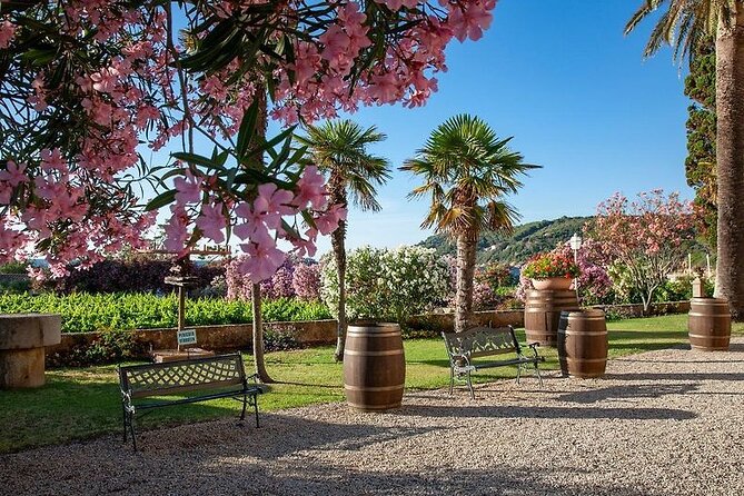 3 Hours e-bike Tour with Wine Tour at Tenuta la Chiusa - Key Points