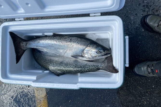 3 Hours Fishing Experience Class in Juneau - Weather, Accessibility, and Practical Tips