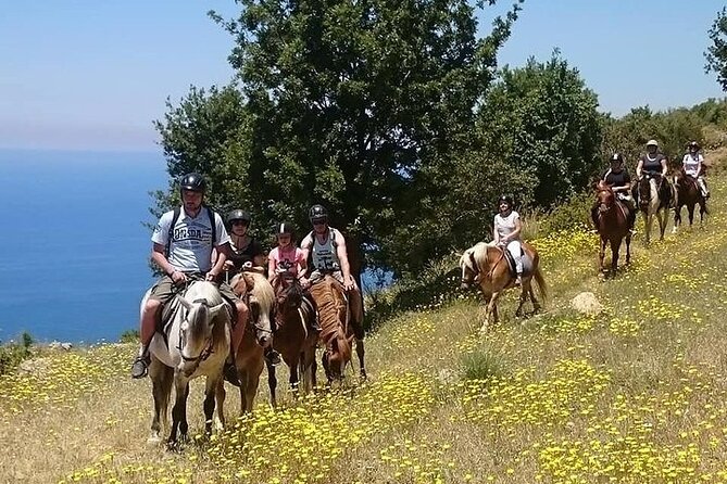 3 Hours Horse Back Riding Alanya - Key Points