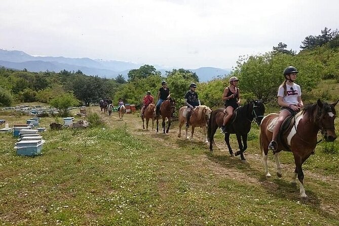 3 Hours Horse Back Riding Alanya - Starting Point at Alanya Belediyesi Park