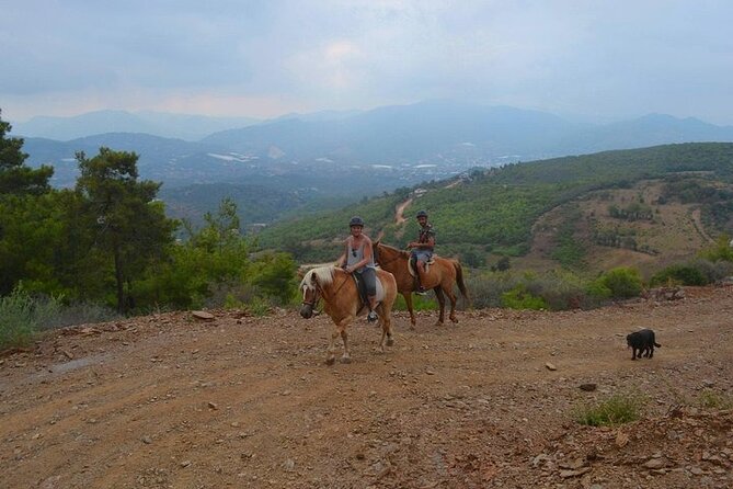 3 Hours Horse Back Riding Alanya - Value and Overall Experience
