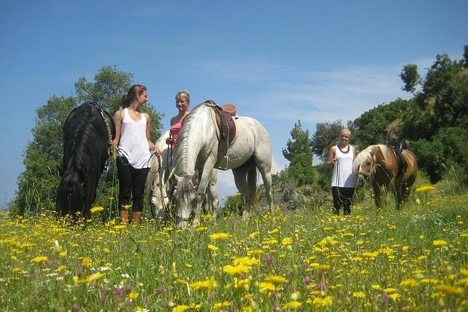 3 Hours Horse Back Riding Alanya - Frequently Asked Questions