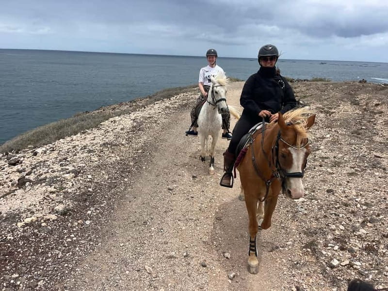 3 hours Horse Riding Tour to the Coast - Coastal Views and Fish Growing Areas near Salineta Harbour