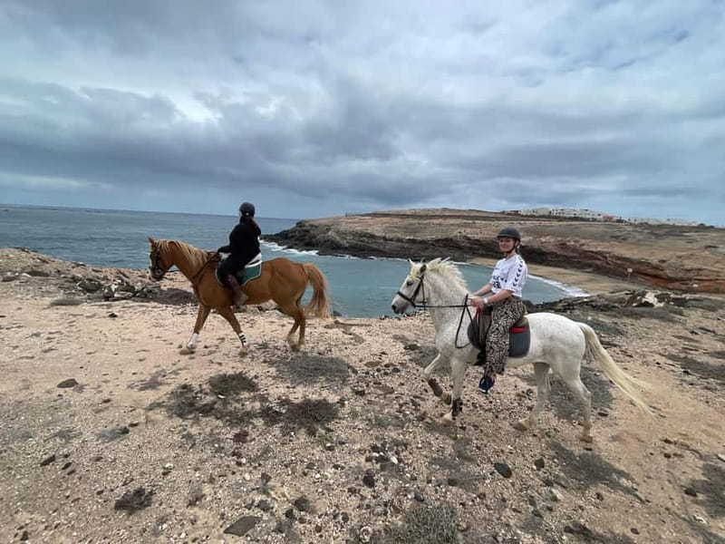 3 hours Horse Riding Tour to the Coast - What to Know Before Booking this Coastal Horse Ride