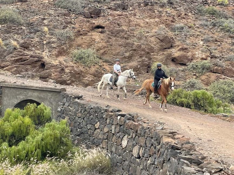 3 hours Horse Riding Tour to the Coast - The Unique Experience Guided by Knowledgeable Instructors