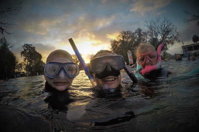 3 hours Manatee Swim Tour in Florida - Best Time to Book and Plan Your Visit