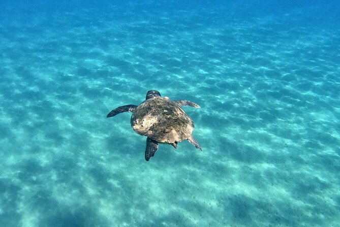 3 Hours Marathonissi Island Tour, Keri Caves and Turtles Spotting - Highlights and Limitations: What Makes This Tour Stand Out