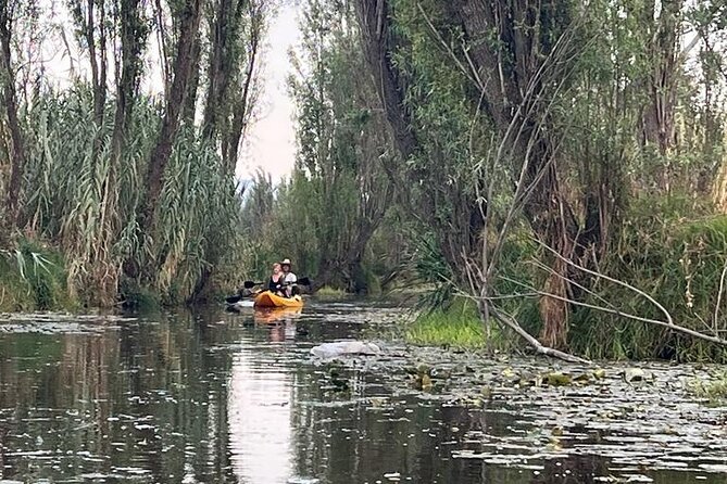 3 Hours of Kayaking at the Ancient Canals of Xochimilco - Explore the Serene Canals of Xochimilco by Kayak