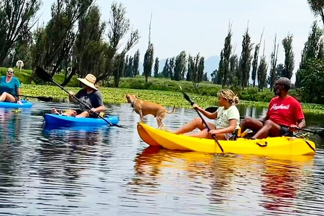 3 Hours of Kayaking at the Ancient Canals of Xochimilco - Discover the Wildlife and Flora of Xochimilco