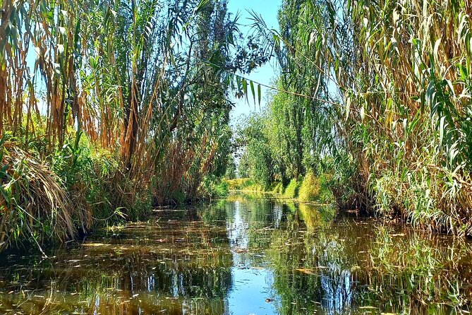 3 Hours of Kayaking at the Ancient Canals of Xochimilco - The Guide’s Expertise and Personalization