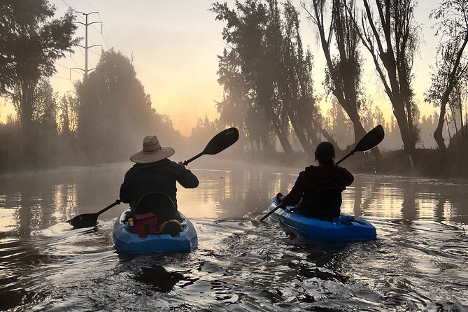 3 Hours of Kayaking at the Ancient Canals of Xochimilco - Comparing This Tour to Other Xochimilco Activities