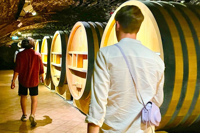 3 hours of Tour in the Wines of Châteauneuf-du-Pape - Practical Details and Accessibility