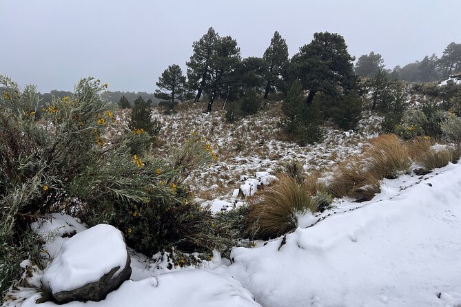 3 hours Private Hike: Mountain Nevado Toluca from Mexico city - Guides Who Make the Difference