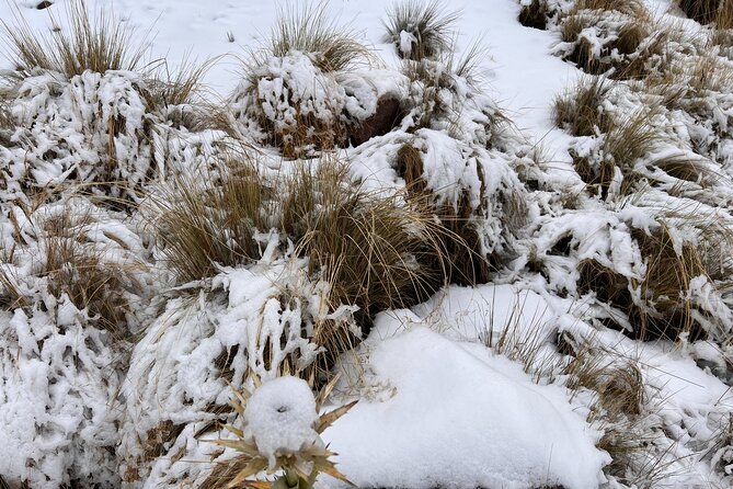 3 hours Private Hike: Mountain Nevado Toluca from Mexico city - The Terrain: Snow, Volcano, and Lagoons