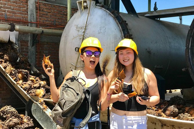 3 Hours Private Tour Guide in Guadalajara - Key Points