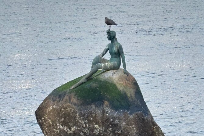 3 Hours Private Tour of City of Vancouver - Lumbermen’s Arch and the Seawall Highlights