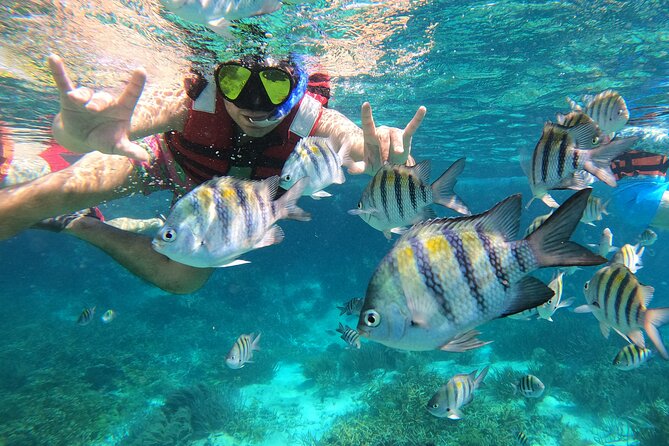 3 Hours VIP Semiprivate Tour Isla Mujeres Full Snorkeling Experience - Logistics: Meeting Point, Group Size, and Duration