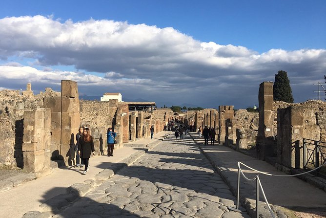 3 Hours Walking Tour in Pompeii with an Archaeologist - Customization and Additional Options