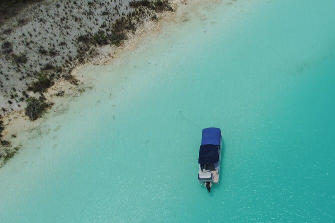 3 hr Pontoon Tour with access to Beach Club and Free Kayaks - Bird Island: A Charming Wildlife Stop