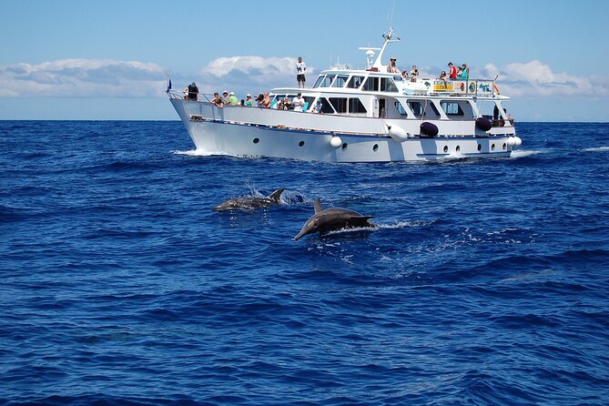3 hrs Boat Excursion for whale watching from Valle GR (La Gomera) - The Vintage Boat: Spacious, Comfortable, and Fully Equipped