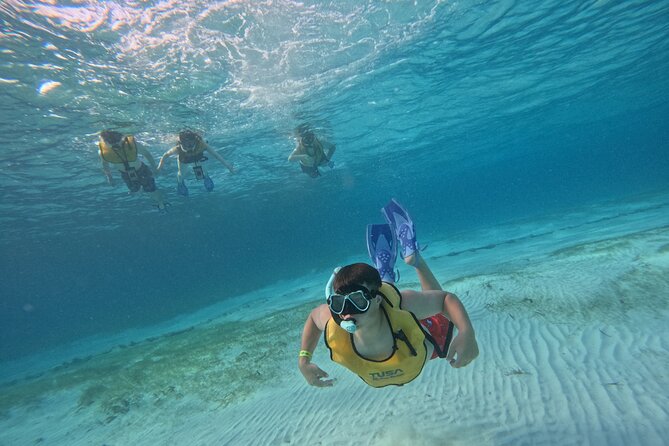 3 in 1 Jungle Tour Adventure Cancun - Visiting a Cenote and Discovering Marine Biodiversity