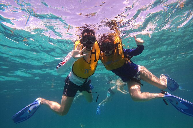 3 in 1 Jungle Tour Adventure Cancun - Physical Requirements and Suitability