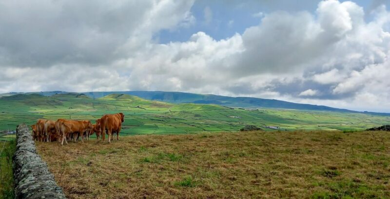 3 in 1 Tour from The Mountain to Cave with Wine - Practical Logistics and Group Size