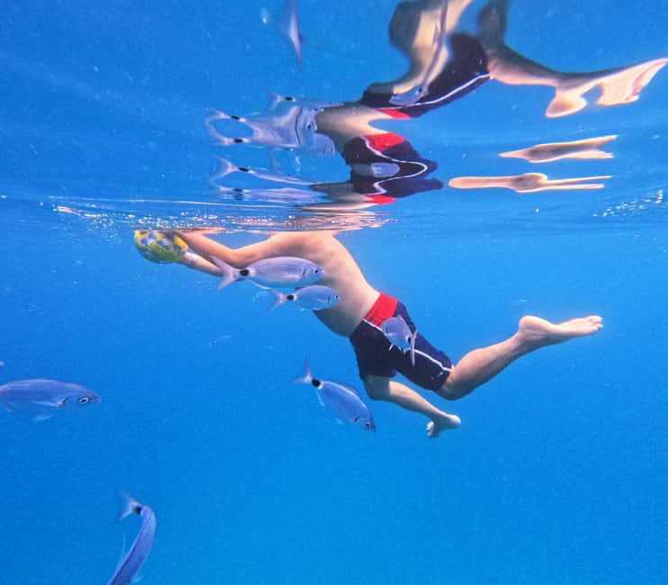 3 Islands Speedboat Tour: Golden Horn, Blue Lagoon & Jelsa - Visiting Zecevo Islet’s Blue Lagoon