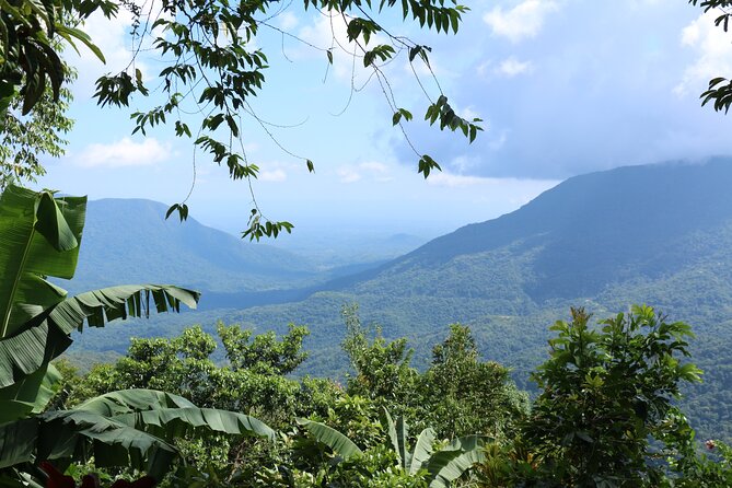 3 Levels of Huatulco the coffee you've been looking for - Engaging and Knowledgeable Guides Enhance the Experience