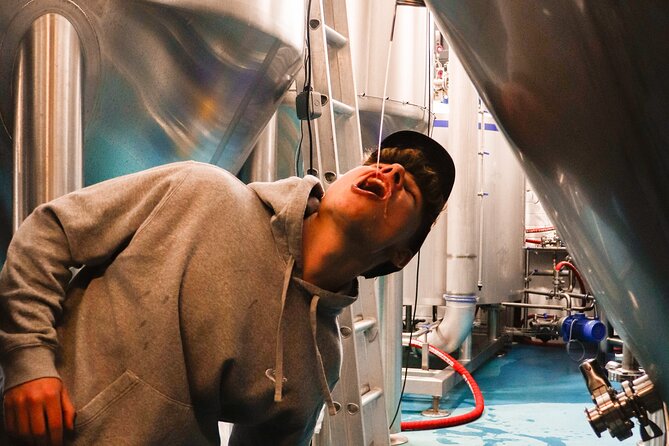 3 Locks Brewing Company Tour and Tasting Experience in Camden - Discover the Unique Beer Experience at 3 Locks Brewing Company