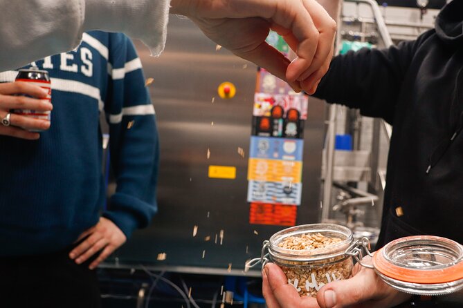 3 Locks Brewing Company Tour and Tasting Experience in Camden - Meet at the Camden Brewery: Starting Point and Accessibility