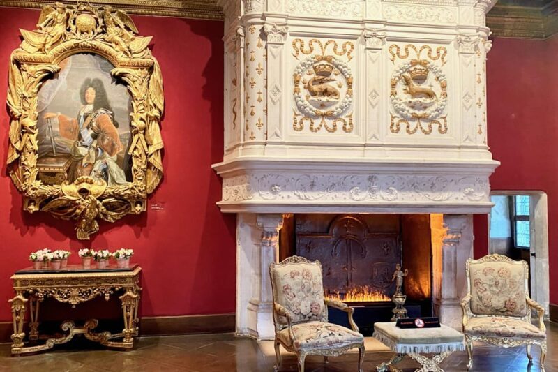 3 Loire Castles Live Guided Small group by minivan Winery - Return Journey to Paris and Drop-off