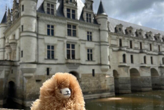 3 Loire Valley Castles and Wine Tasting Private Guided Tour - Tasting Seven Wines at Plou Et Fils: A Historic Loire Valley Winery