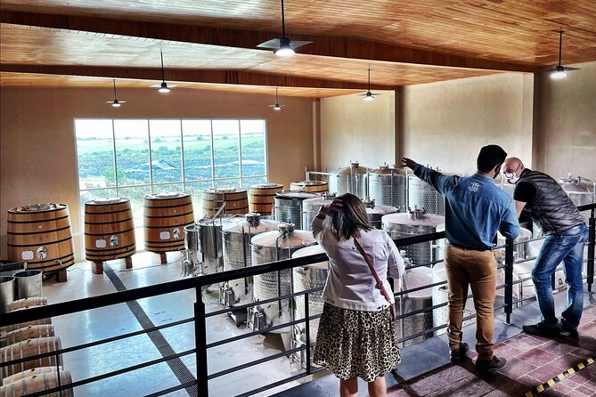 3 or 5 Course Menu + Wine Pairing + Tour @Local Winery - The Experience Provider: Azteca Entertainment SMA