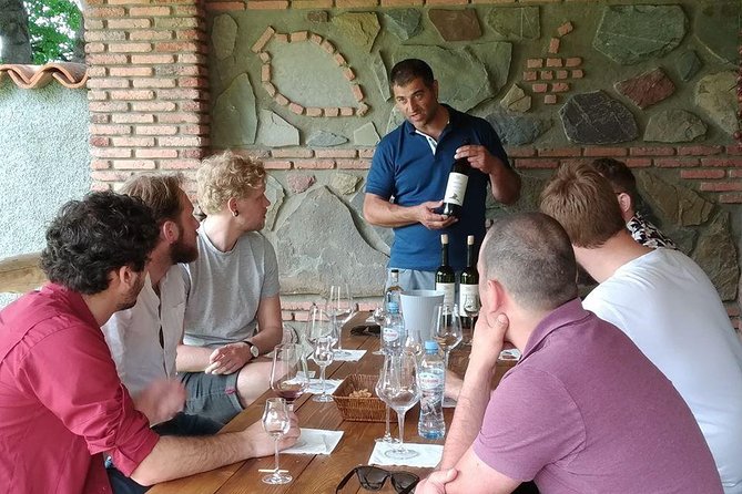 3 Organic Wineries Private Day Trip to Wine Province With Lunch and Tastings - All-Inclusive Comfort and Practical Details