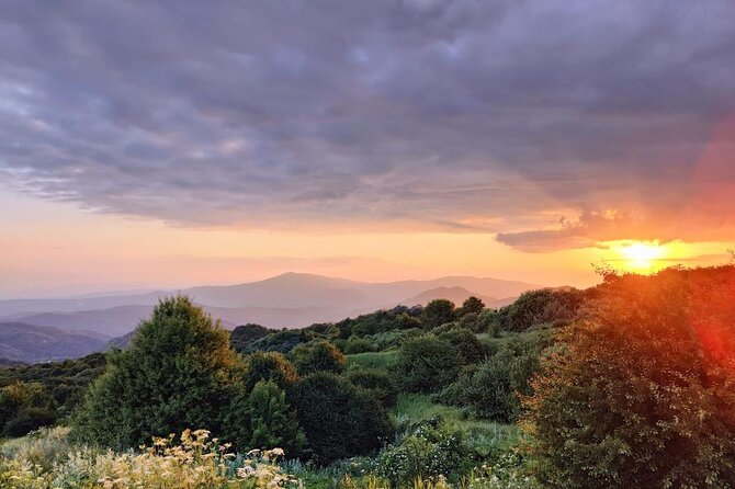 3 Organic Wineries Private Day Trip to Wine Province With Lunch and Tastings - Visiting the Gvardzelashvili Winery and Its Unique Wines