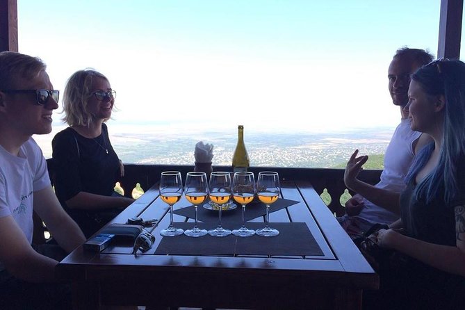 3 Organic Wineries Private Day Trip to Wine Province With Lunch and Tastings - Final Thoughts on the Organic Wine Experience in Georgia