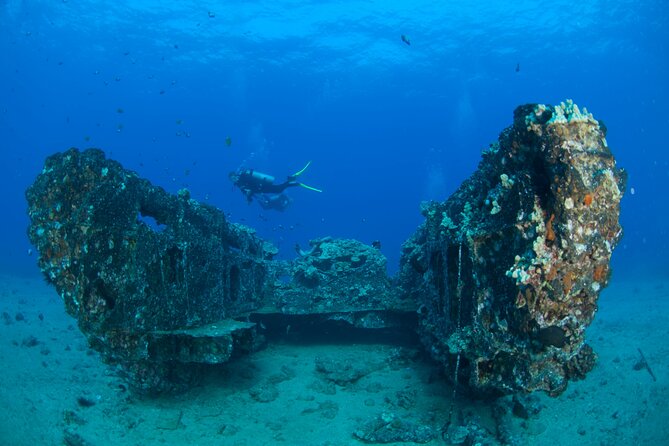 3-Tank Dive Featuring the Molokini Crater - The Small Group Advantage and Expert Guidance