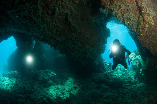 3-Tank Dive Featuring the Molokini Crater - Practical Details and Meeting Logistics