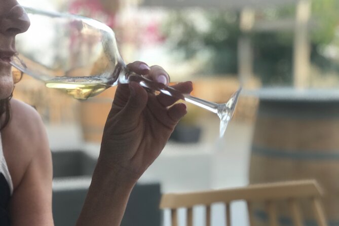 3 Wineries wine tasting & Greek Meal -Food and Wine pairing - Wine and Food Pairing at a Classic Winery Restaurant